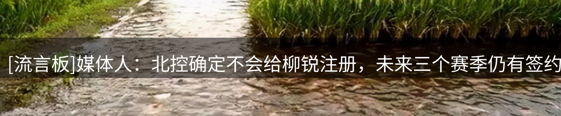 行业前瞻